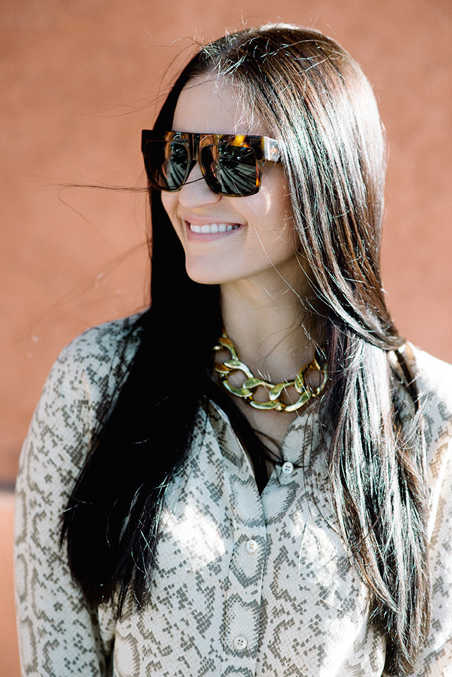 Celine Tortoise Sunglasses