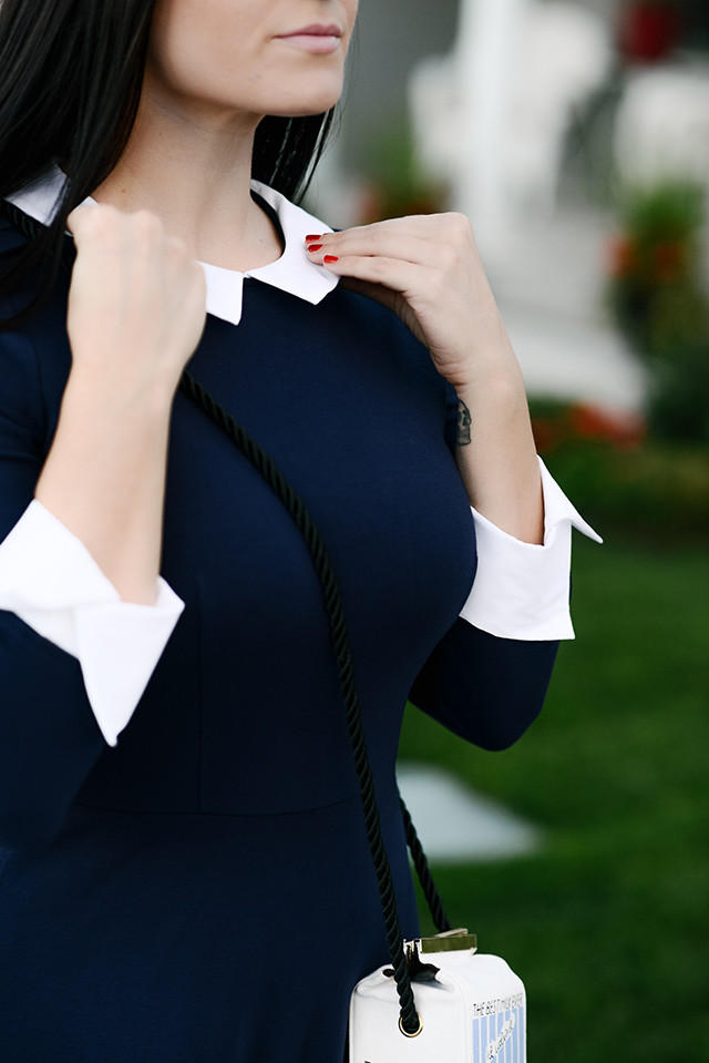 Dress Collar