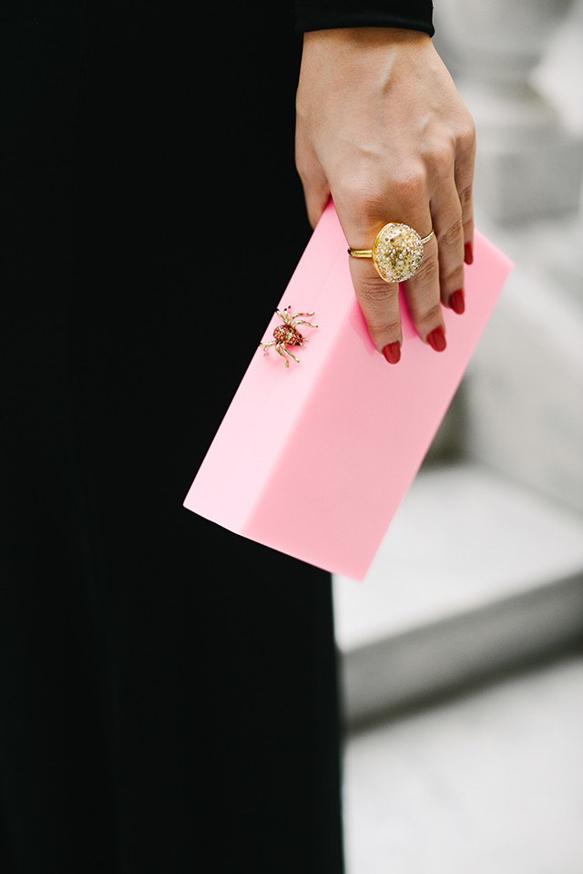 Charlotte Olympia Perspex Clutch