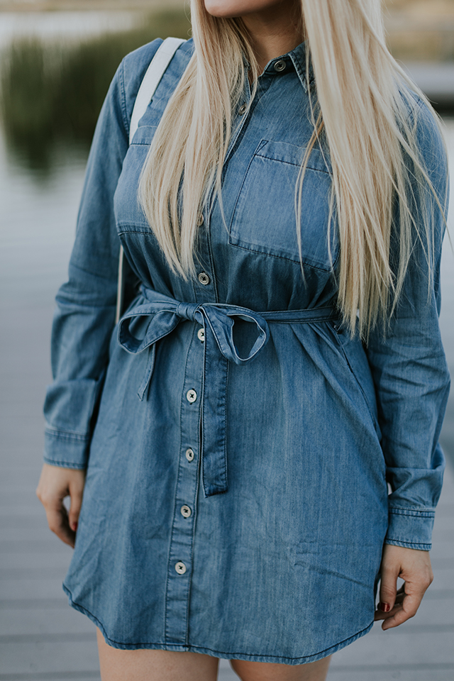 BB Dakota Denim Dress